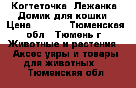 Когтеточка. Лежанка. Домик для кошки › Цена ­ 1 800 - Тюменская обл., Тюмень г. Животные и растения » Аксесcуары и товары для животных   . Тюменская обл.